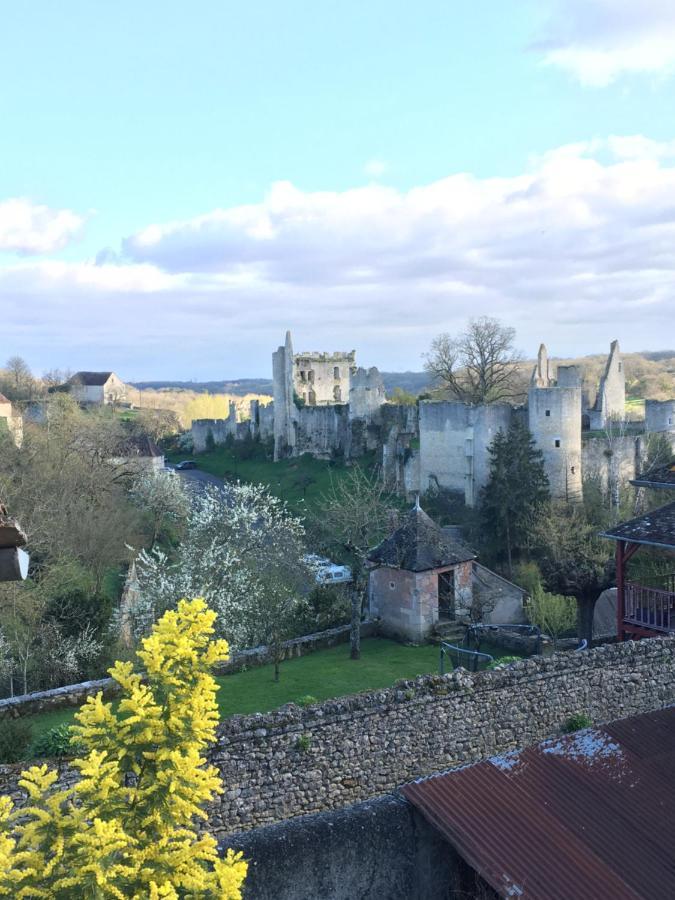 Chez Fred Avec Vue Sur Le Chateau Angles-sur-lʼAnglin 외부 사진